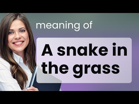 Unmasking the Hidden: Understanding "A Snake in the Grass"