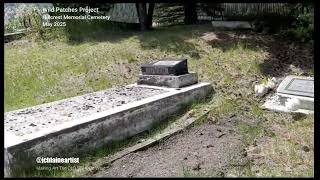 Wild Patches Project - Hillcrest Cemetery
