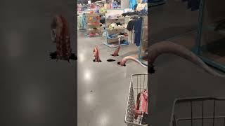 wolf hollowing sound #trendingshorts #viralvideo