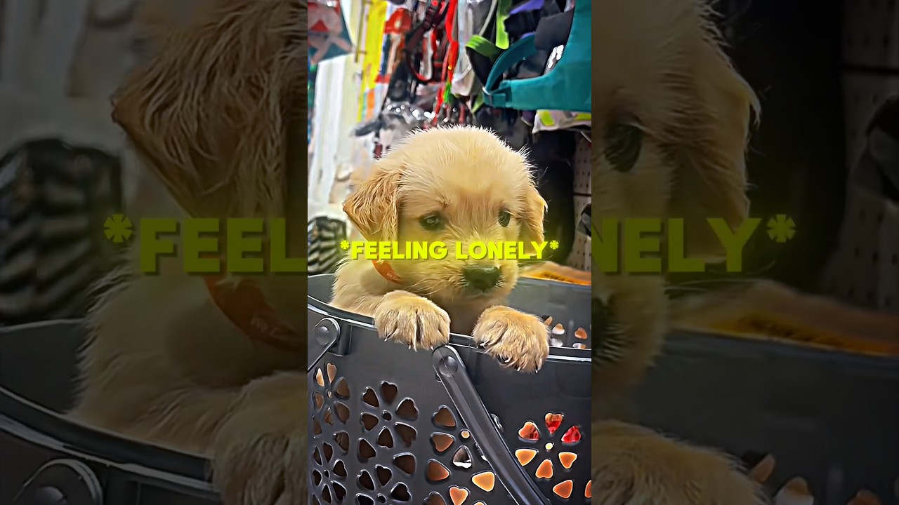 W Friendship ❤️‍🩹 