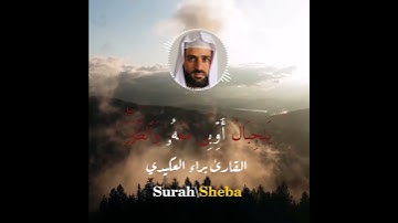 تلاوة هادئة تريح القلب | القارئ براء العكيدي