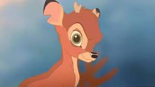 Into You - Animash Test #2