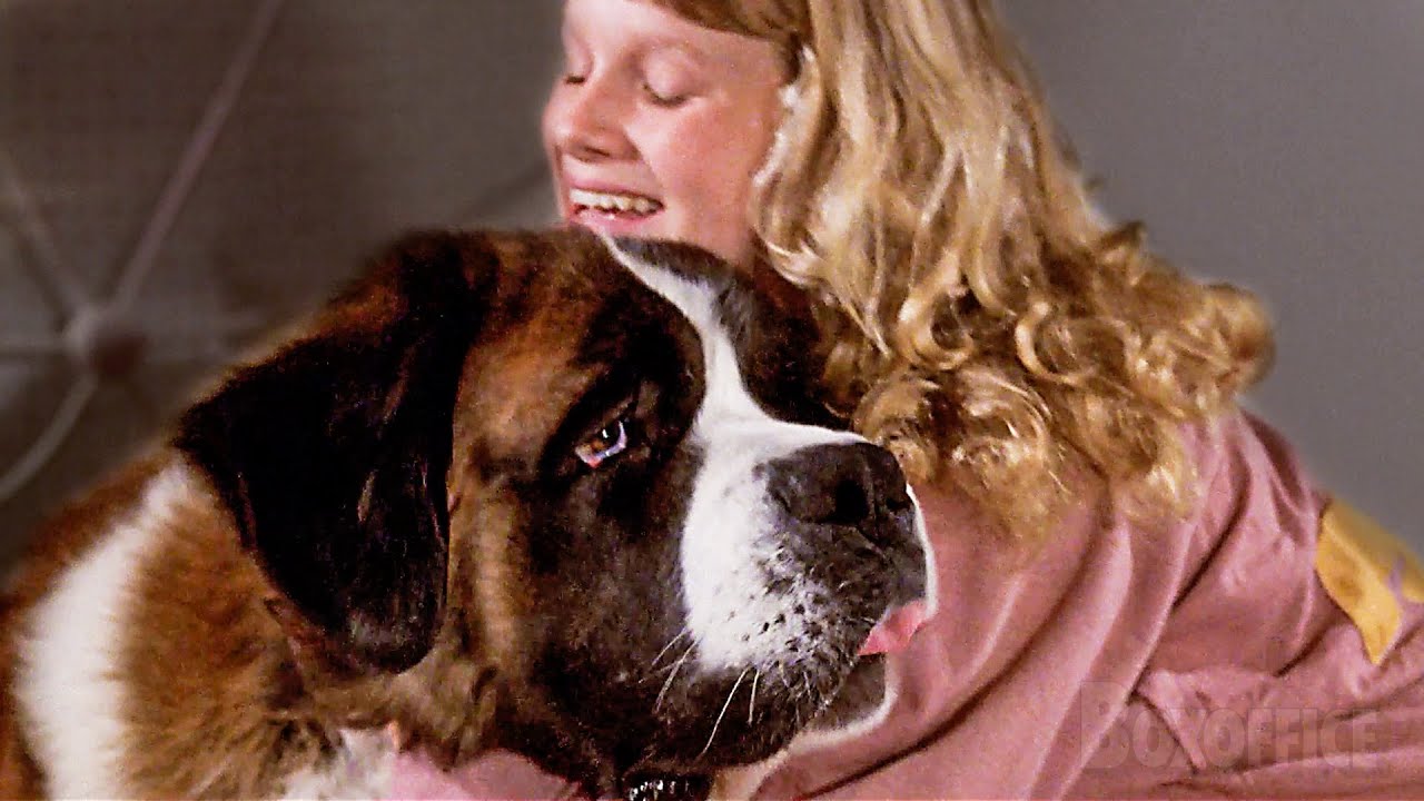 Beethoven gets scratches because he's a hero!