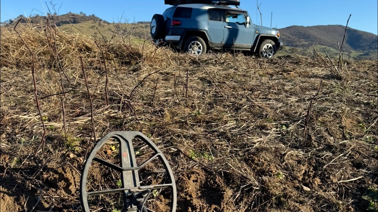 Minelab Manticore On The Coins 