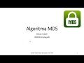 Memahami Algoritma MD5: Fungsi Hash Penting dalam Kriptografi 🔐