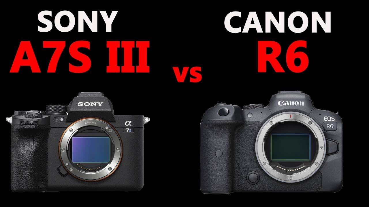 Sony a7S III vs Canon EOS R6 YouTube