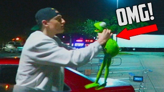 Kermit The Frog Gets In A Fight At Walmart