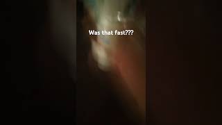 Was it