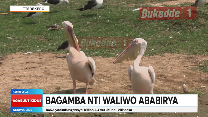 Omwoleso gw'ebinyonnyi abakugu bagamba bikendedde bagamba nti waliwo ababirya