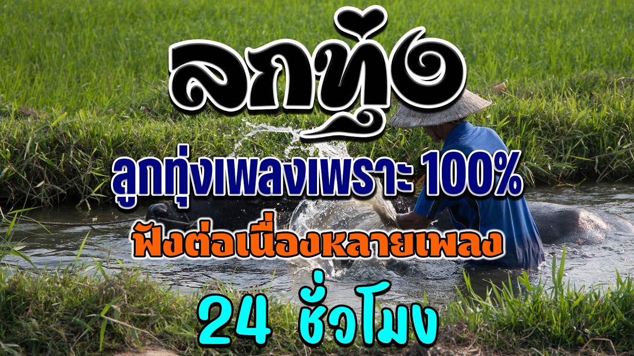 เพลงลูกทุ่งฟังเพราะ 100% ฟังต่อเนื่องหลายเพลง 24 ชั่วโมง🎉ไม่มีโฆษณา
