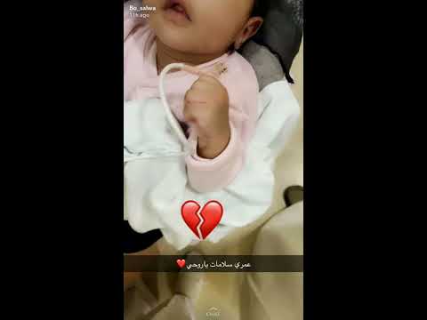 سنابات نوف نبيل 236