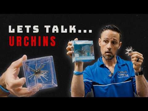 Urchin Baits Explained (How to Rig Them)