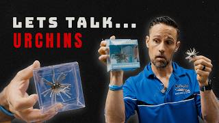 Urchin Baits Explained (How to Rig Them)