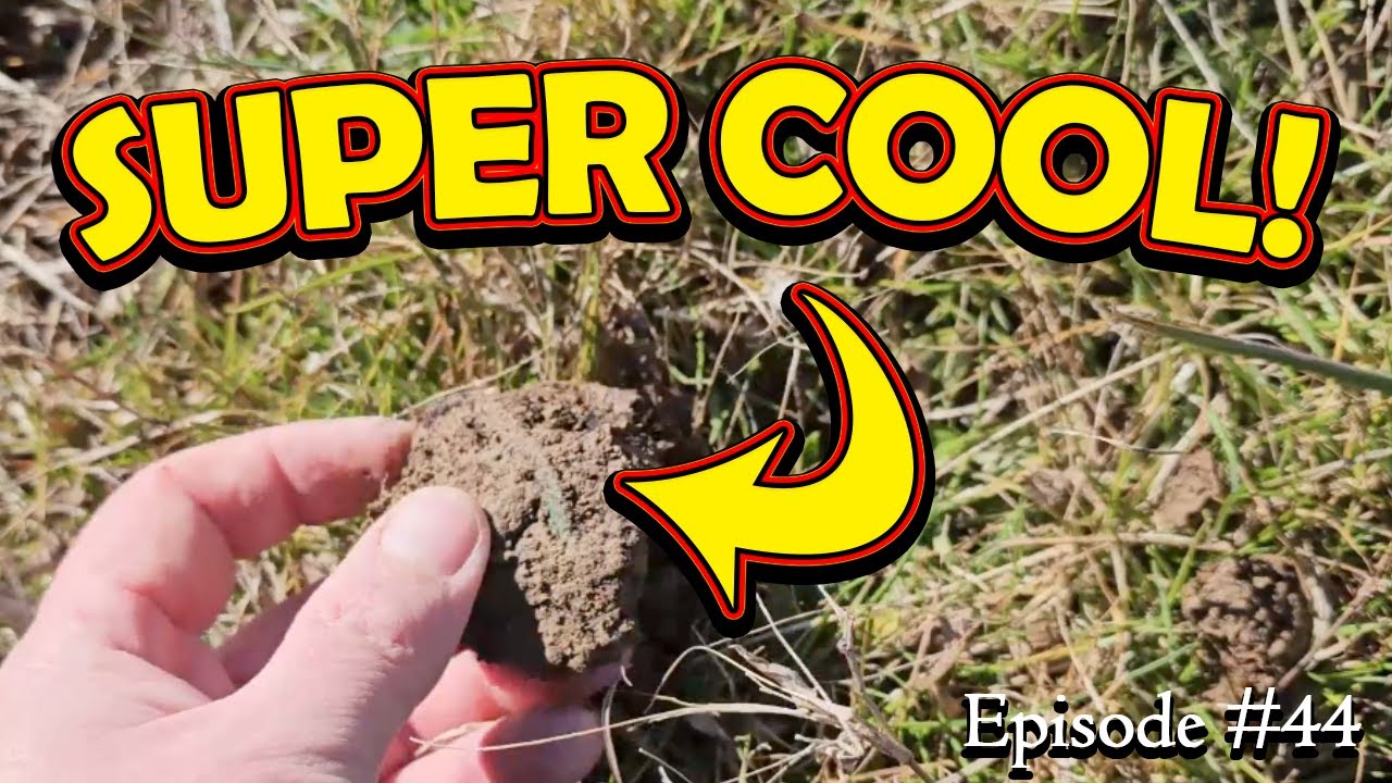 Metal detecting huge hay field: This Was Unexpected!! | Digging History ‘76