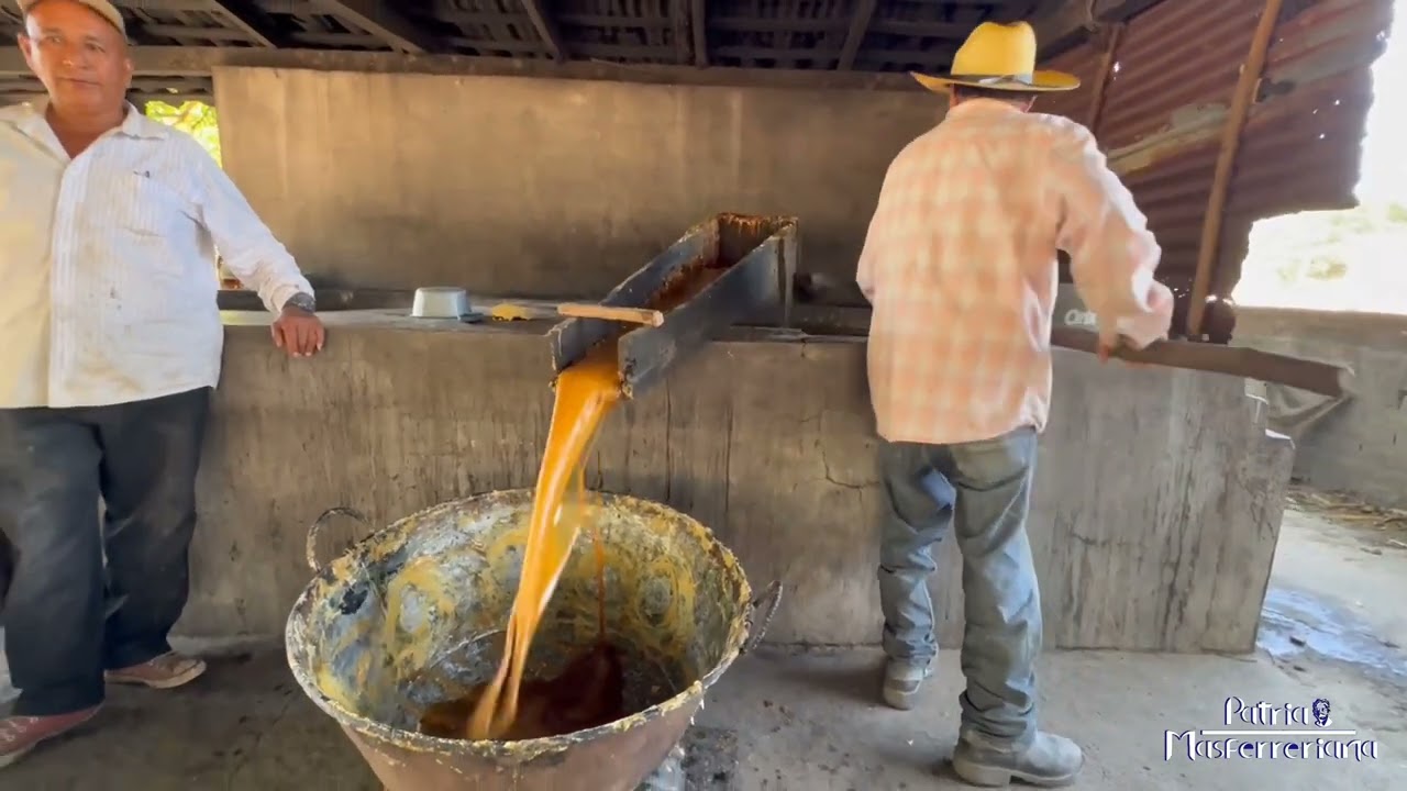 Título: ¿Tradición en Extinción? La Molienda con Bueyes en El Salvador