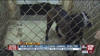 Pasco Animal Shelter Shuts Down