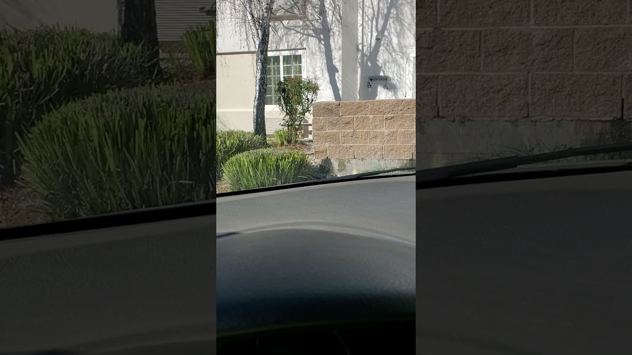 massive stock market collapse banking system default get in commodity hard assets precious metals.