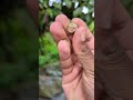 Is this a fruit?🙄 #fruit