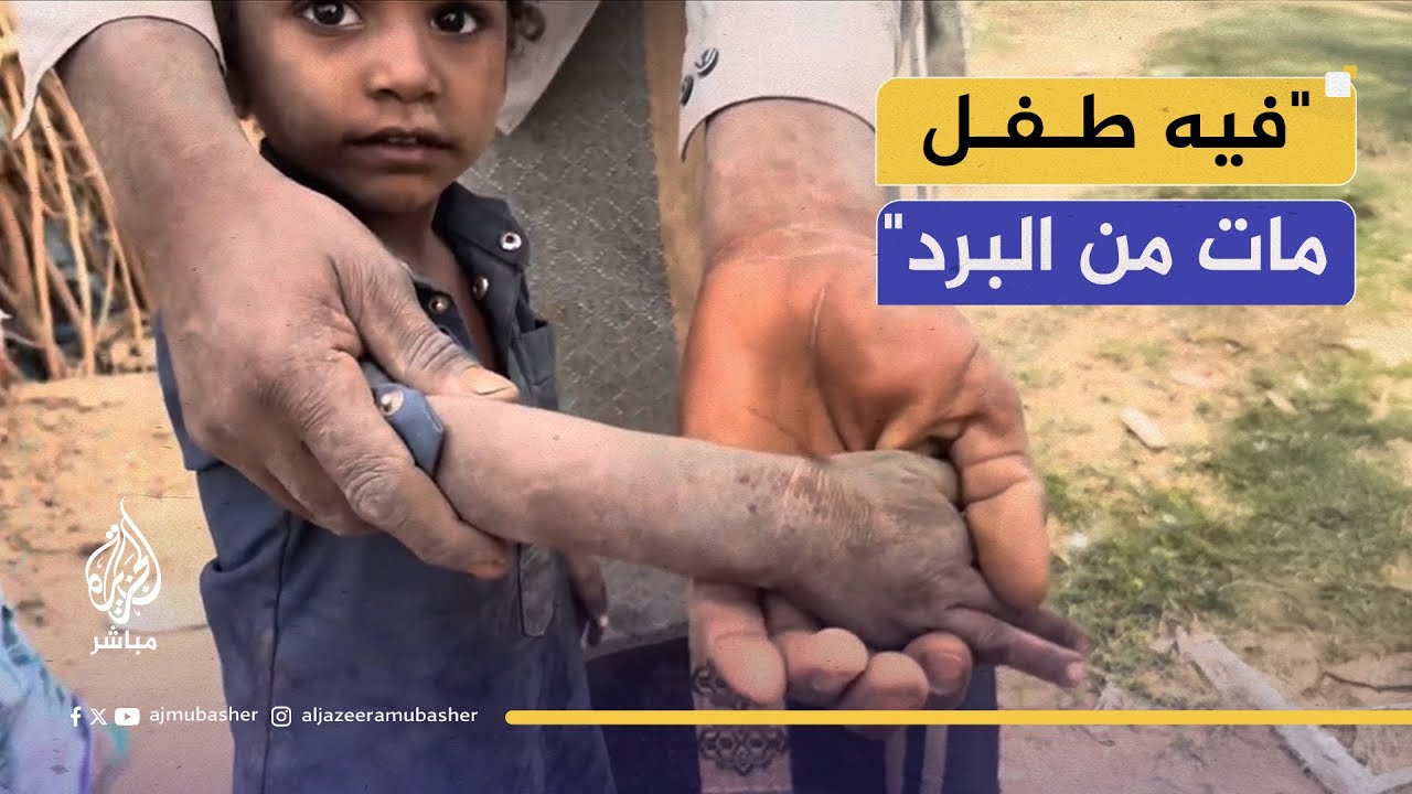 مأرب- مخيم الرميلة | برد قاسٍ يهدد مئات العائلات النازحة في العراء