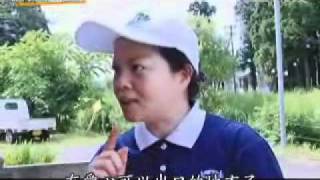 20101031-4《大愛全紀錄》歸宿