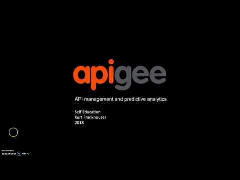 Apigee Self Learning Journey