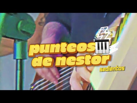 punteos de nestor en bloque en vivo