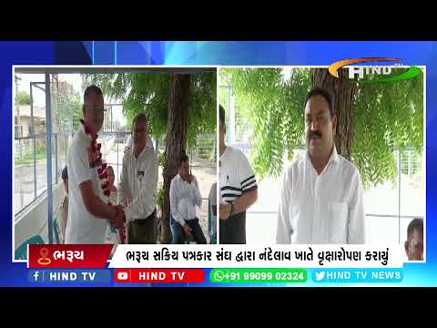 ભરૂચ સક્રિય પત્રકાર સંઘ દ્વારા નંદેલાવ ખાતે વૃક્ષારોપણ કરાયું