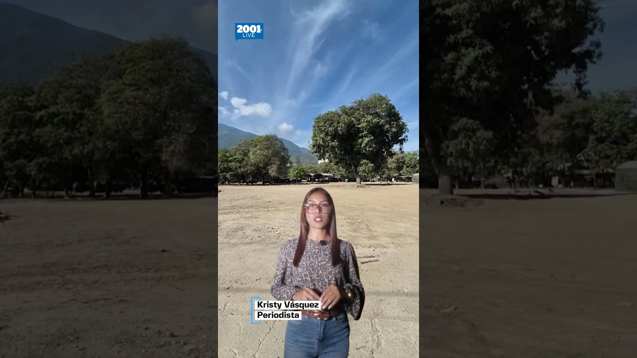 Maiquetía y Naiguatá impulsan el dinamismo costero