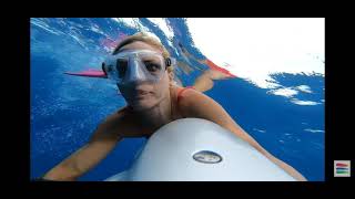 seabob dolphins