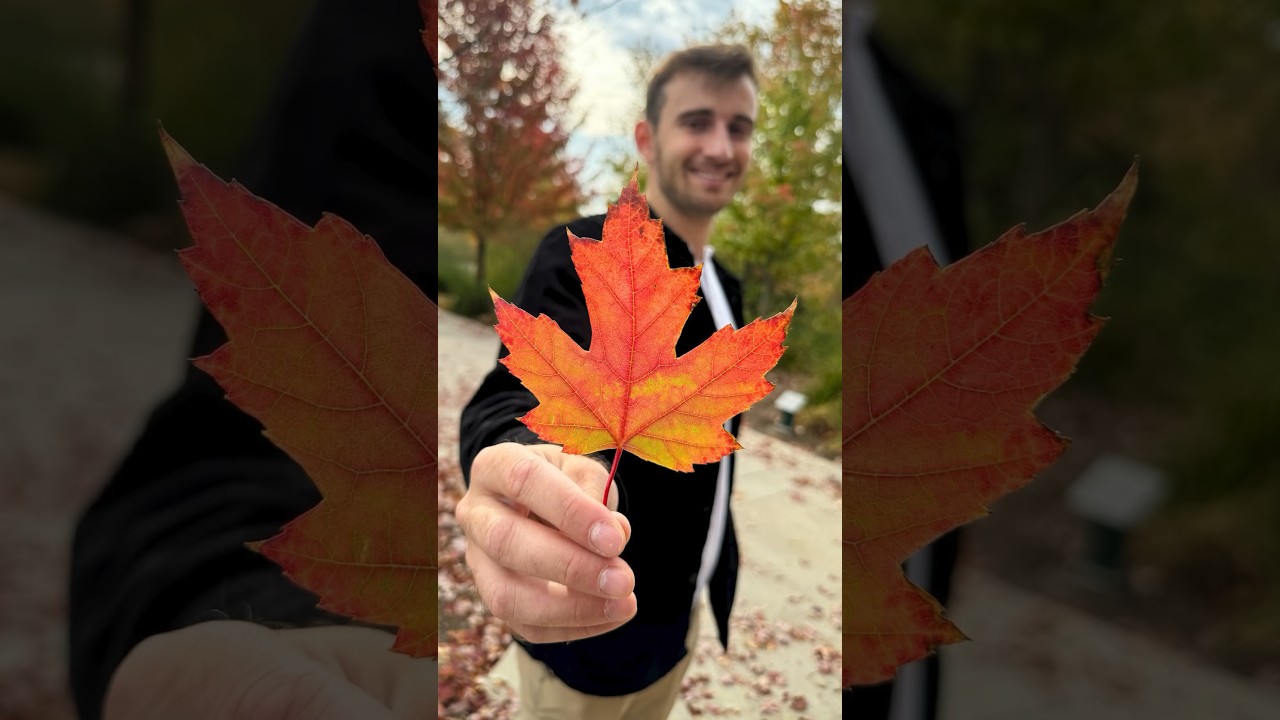 Fall video idea 🍁📸