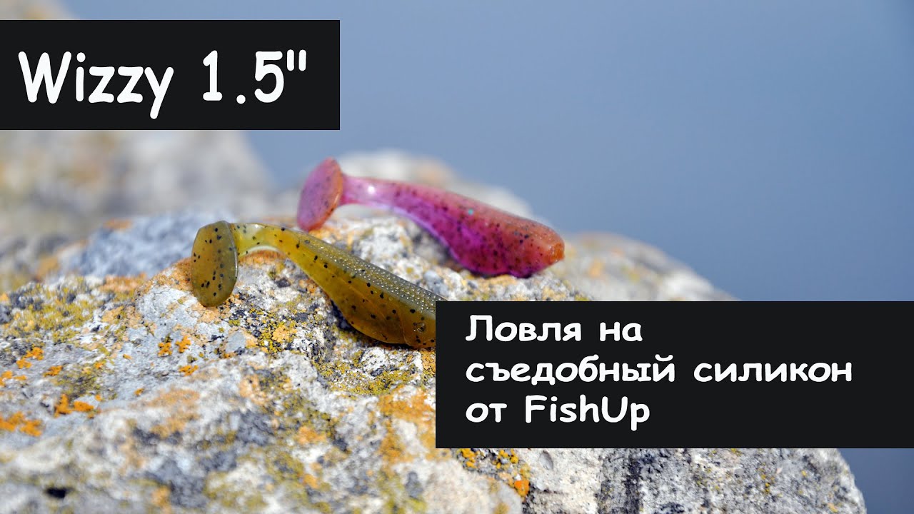 FishUp Lures. Wizzy 1.5" Ловля на Съедобный силикон.