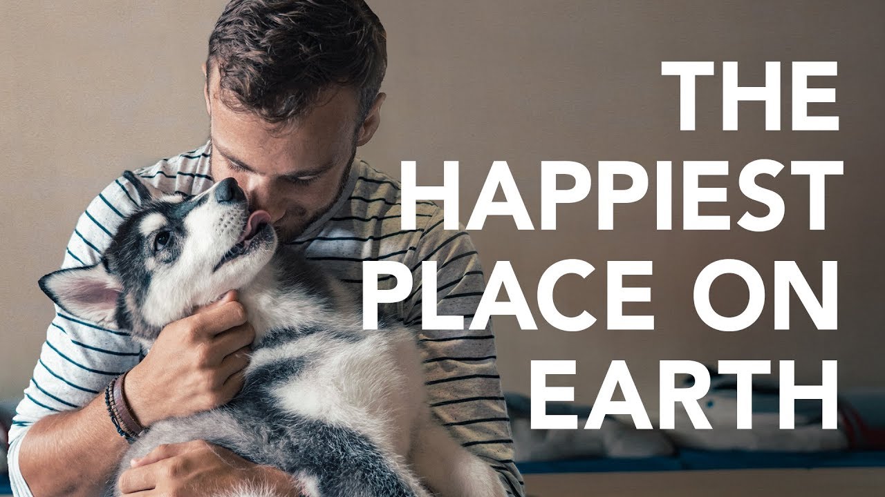 MALACCA, MALAYSIA | Huskitory - The happiest place on earth