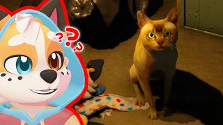 AM I CRAZY OR IS THIS CAT TALKING TO ME? | Furrry VTuber Plays WITNESS THE DARK: BLOODY BURGER screenshot 4