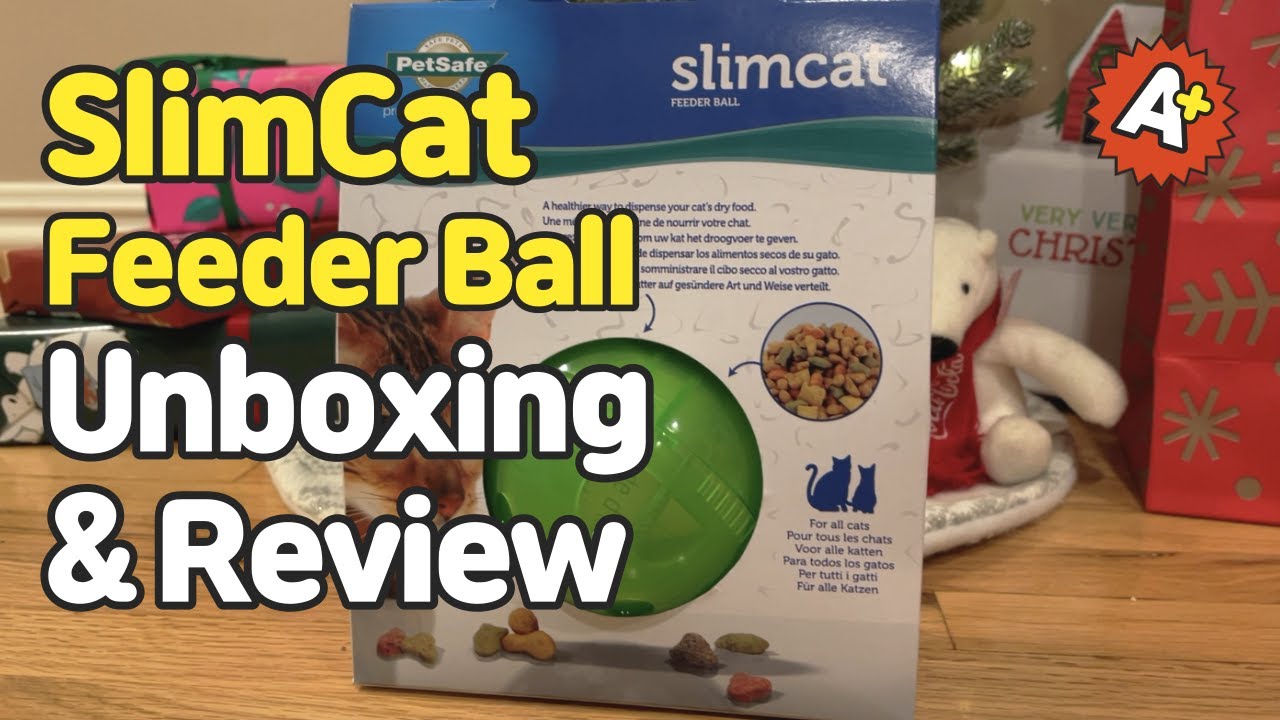 SlimCat Feeder Ball Review (PetSafe) by Korat Cat Chadol's House