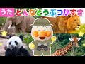 【うた】㊗️７万回再生　どんな動物がすき♪（替え歌）アンパンマン達と一緒に動物を探してみよう！