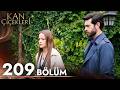 Kan Çiçekleri 209 Bölüm 