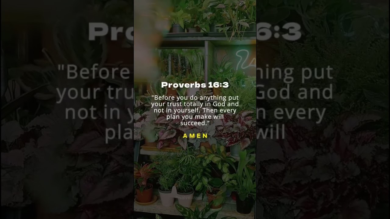 Put Your Trust In God! 