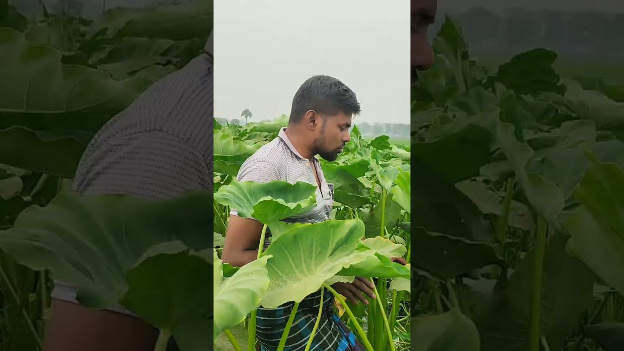 #স্বাবলম্বী হওয়ার #সহজ উপায়