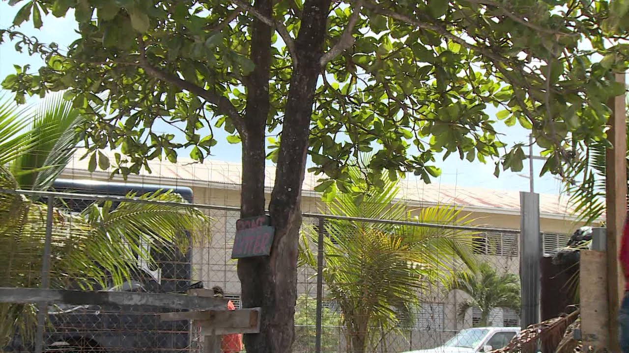 Engineering Sites Preparation