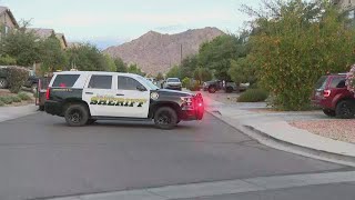 Deputies shoot, kill man during domestic violence incident, PCSO says
