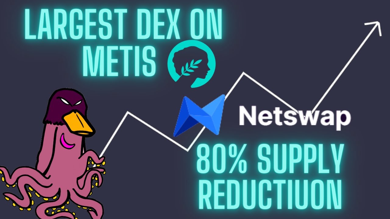 NETSWAP OVERVIEW - CRAZY SUPPLY BURN!