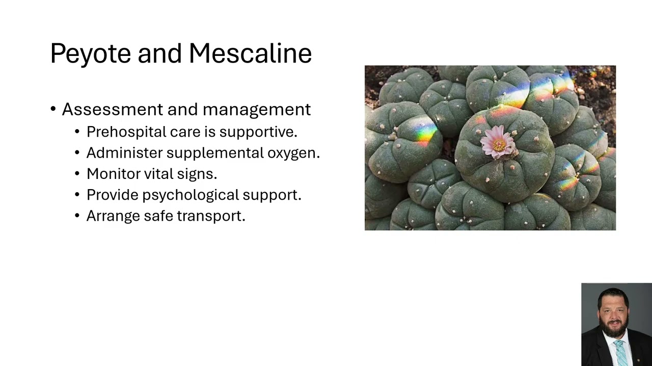 Hypnotics, Sedatives, and Other recreational drugs