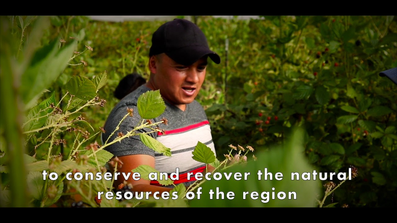 Alternare A.C. working for the Monarch Butterfly Biosphere Reserve conservation (Subtitles)