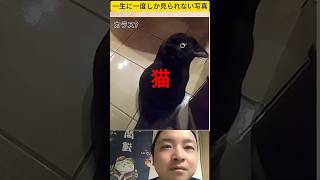 二度と見られない写真 