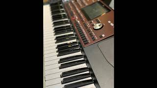 Asiman Sintez - Neylesin