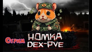 Dayz  Homka-Dex PVE  Первый стрим  смотрим сервер делаем квесты