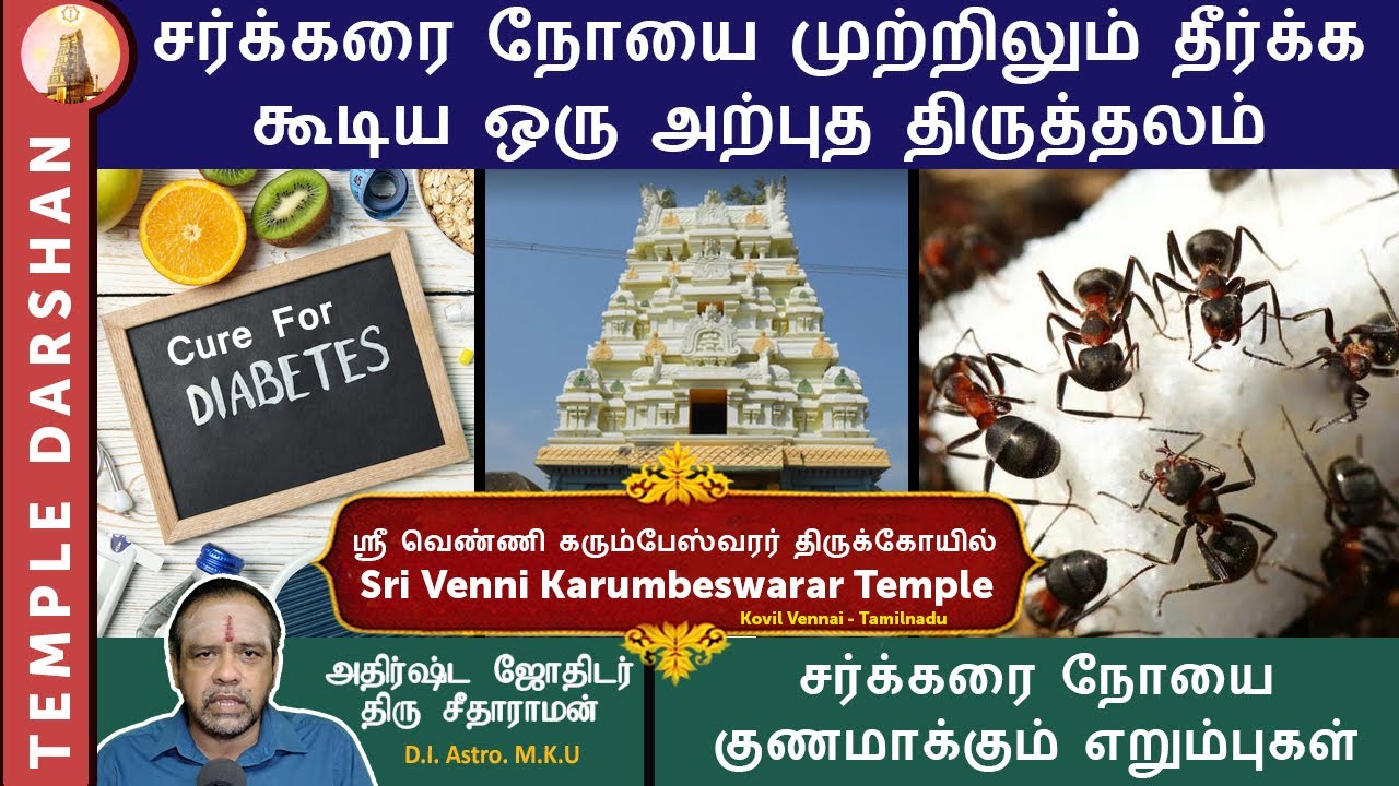 சர்க்கரை நோய் (Diabetes) தீர இந்த கோவிலுக்கு போங்க! ஒரு நம்பிக்கை வழிகாட்டி | Temple for Diabetes
