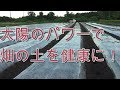 太陽のパワーで畑の土を健康に！(無農薬）