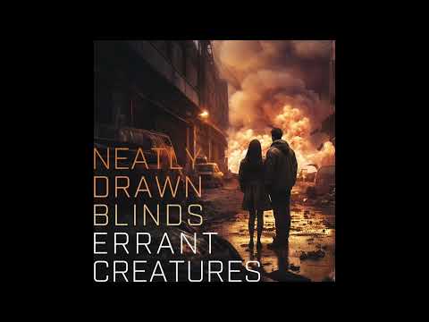 Neatly Drawn Blinds - The Big Empty