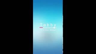 Tabby - AIO Widget for Android (Demo) screenshot 4